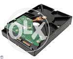 Hard Disk at Low