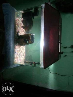 24 inch x 15 inch aquarium with heater,auto