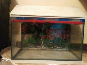2ft aquarium with top and stone included