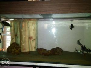 5 feet tank in good condition with sand and stand