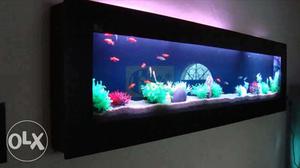 6.5 feet Plasma Aquarium -without fish and plant