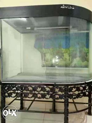 Black fish tank with stand, cover, oxygen