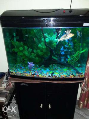 Brand new aquarium 2ft tank with cabinet.only 4