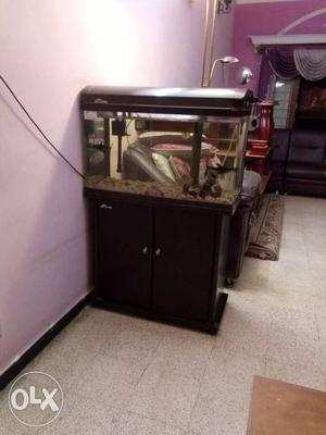 Brown Wooden Framed Tank With Cabinet