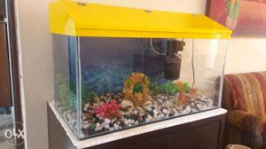 Fish Tank 24in × 12in × 12in. + Environment
