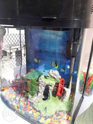 Fish aquarium..brand new condition