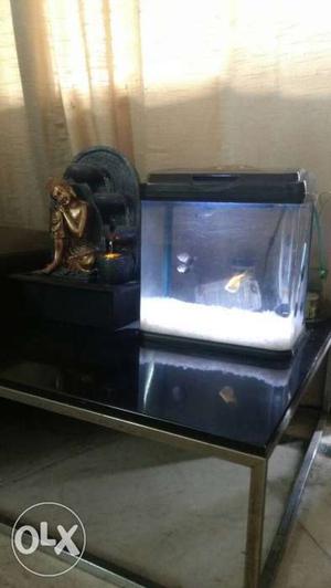 Fish aquarium with air pump, water filter and