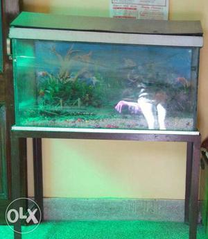 Fish tank with 2'5ft long and 2metre width, with