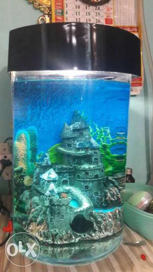 Fish tank with showpiece and cover height 18" and