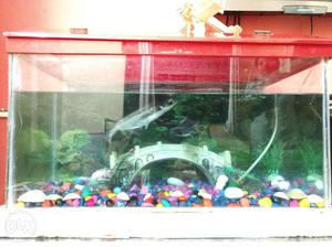 I want to sell my fish tank size 12 by 24