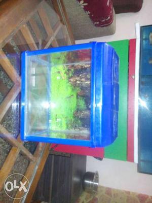 Plastic cover fish tank with excellent Quality.