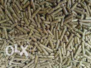 Rabbit feed for sale in pune