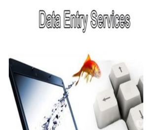 100 Genuine Offline & Online Data Entry Projects With High P