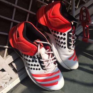 Adidas Cricket Spikes in Great Condition