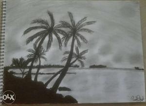 Silhouette Of Coconut Tree Illustration