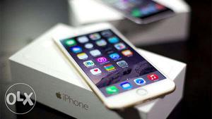 IPhone 6 gold color