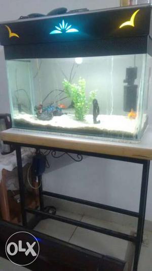 Aquarium set with stand boyu filter air pump