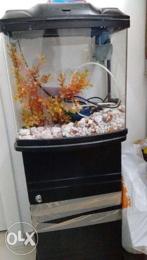Fish Tank and Storage Table
