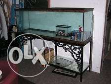 Fish aquarium with stand for sale In Chandigarh, Mohali,
