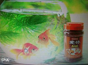 We supply all aquarium and pet products.