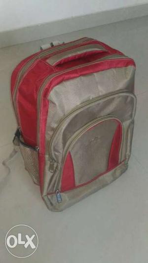 Golden And Red Backpack brand new condition of dell company.