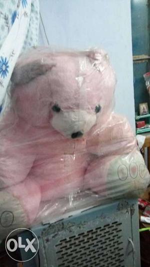 Pink And White Teddy Bear