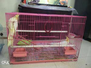 Big Pink Cage for sale
