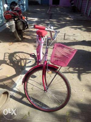 Red And Pink Dutch Bike