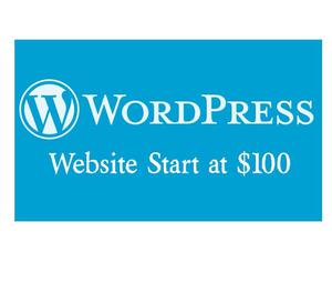 Word Press Website Start at 100$ Mumbai