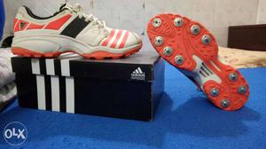 Adidas cricket spike shoes, brand new condition,