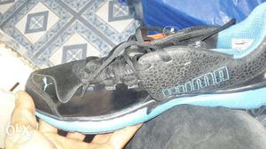 Black Blue Puma shoes