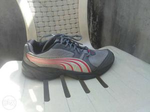 Gray And Red Puma Running Shoe (size 6)