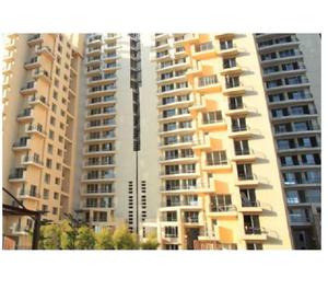 3 Bhk + Two Bathroom Available in Pioneer Park