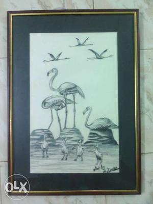 Flamingo And Birds Grayscale Photo