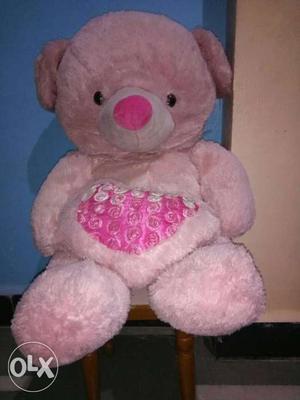 Teddy bear of baby pink colour