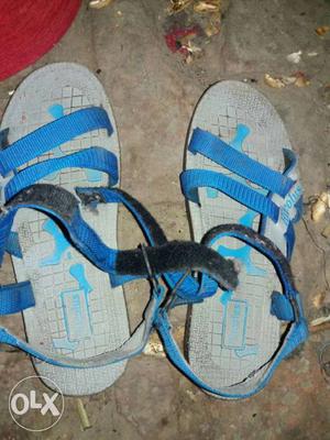 Men's Gray And Blue Sandals