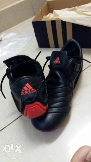 New brand shoes Adidas from south africa