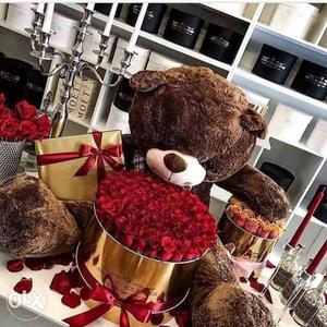 Brown Bear Plush Toy And Chocolates
