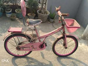 Pink Flora Bicycle