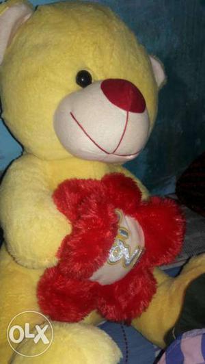 Yellow And Red Teddy Bear