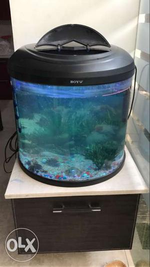 Almost full size aquarium..
