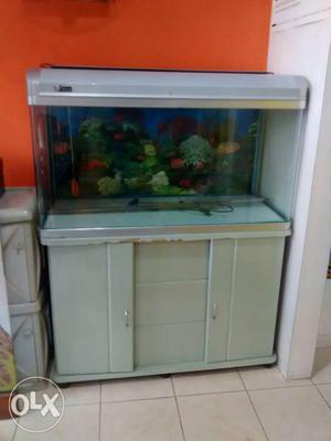 Aquarium with stand containing two compartments