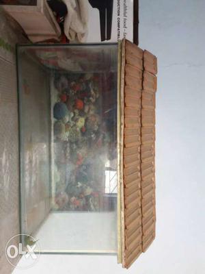Fish Tank (Good Condition) with filter