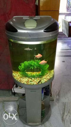 Imported D shape fully decorated aquarium with