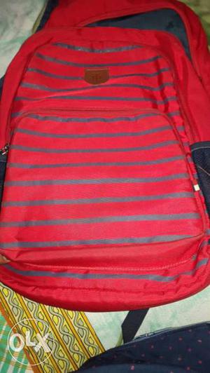 Red And Gray Striped Backpack