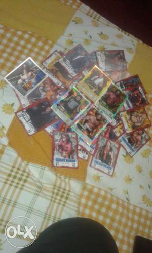 Ww Wrestling Superstar Collectible Cards