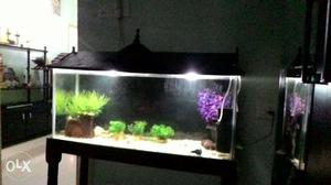 3ftx1.5x1ft aquarium.with all as shown in the