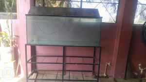 6 feet aquarium with lid and metal stand for