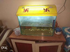 Aquarium / Fish tank with filter, oxygen stones,