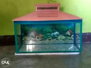 Aquarium For Sale